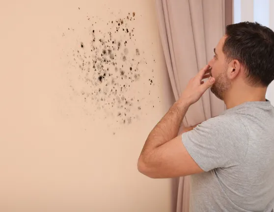 Persona sorprendido de ver una humedad en una pared de su casa